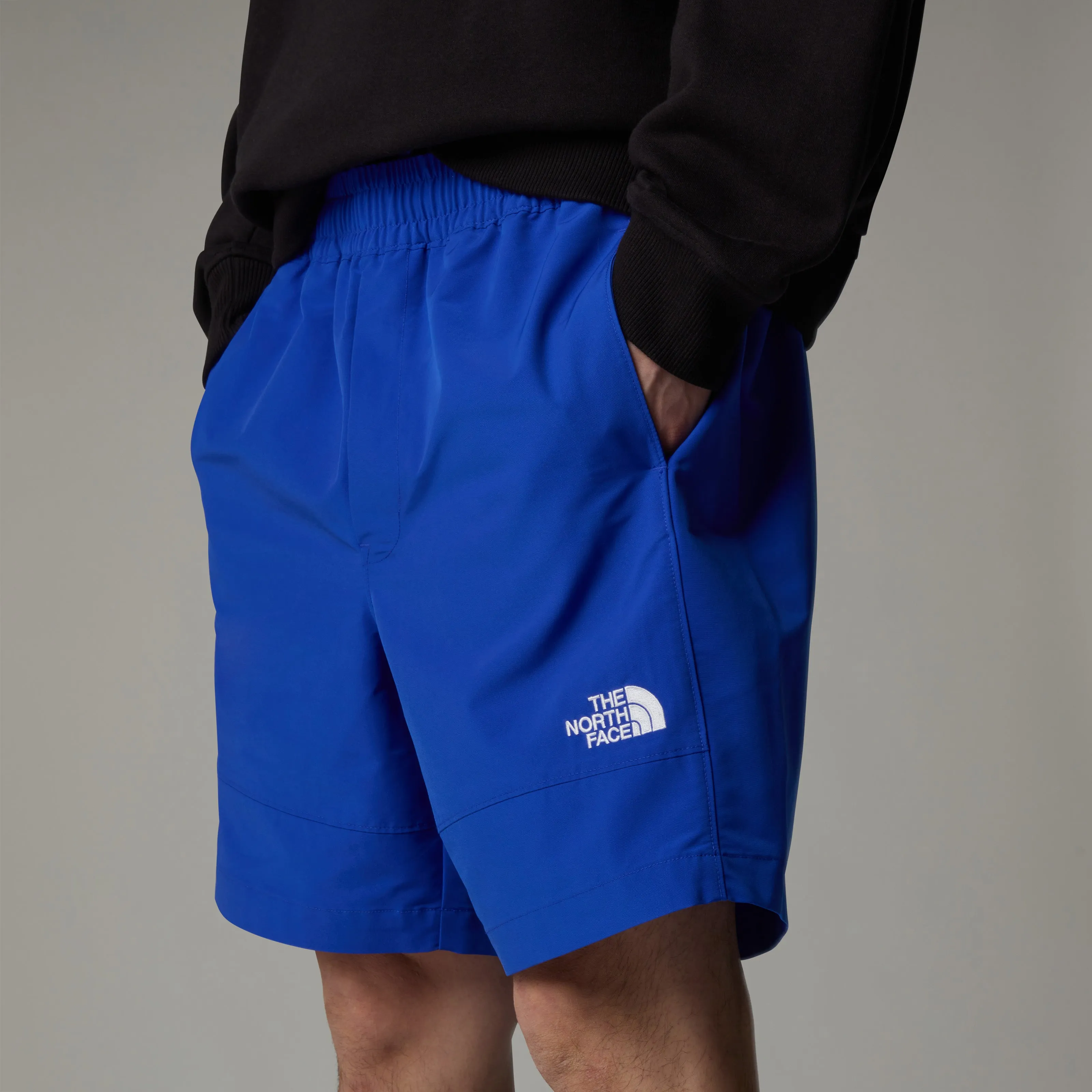 MEN'S TNF EASY WIND SHORTS